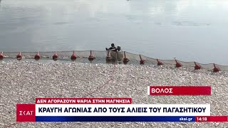 66d9db688f148 Ελληνική Κραυγή αγωνίας από τους αλιείς του Παγασητικού – Δεν υπάρχει ζήτηση, μετά το θέμα με τα νεκρά ψάρια Ελληνική - SKAI.gr https://eliniki.gr/video/%ce%ba%ce%b1%cf%84%ce%b1%ce%b9%ce%b3%ce%b9%cf%83%cf%84%ce%b9%ce%ba%ce%ad%cf%82-%ce%b5%ce%be%ce%b5%ce%bb%ce%af%ce%be%ce%b5%ce%b9%cf%82-%cf%83%cf%84%ce%bf-%ce%bd%ce%ad%ce%bf-%ce%b5%cf%80%ce%b5%ce%b9/