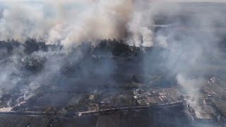 Ρουμανία: Στάχτη έγιναν εκατοντάδες στρέμματα με οπωροφόρα δέντρα Ελληνική - euronews