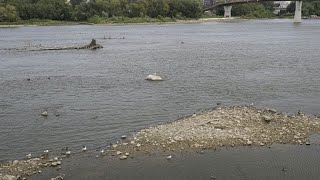 Τρομερά προβλήματα σε Βοσνία και Πολωνία από ξηρασία και καύσωνα - Στερεύουν λίμνες και ποτάμια Ελληνική - euronews