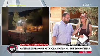 66e16a31c92e8 Ελληνική Καταγγελία στο Live You: Κατέγραψε παράνομη μεταφορά αλόγων και την ξυλοκόπησαν | 11/09/2024 Ελληνική - SKAI.gr https://eliniki.gr/video/%ce%bf%cf%85%cf%81%ce%ad%cf%82-%ce%b1%cf%80%cf%8c-%ce%b5%cf%80%ce%b9%ce%b2%ce%ac%cf%84%ce%b5%cf%82-%cf%83%cf%84%ce%b1-%ce%bb%ce%b9%ce%bc%ce%ac%ce%bd%ce%b9%ce%b1-ethnos/