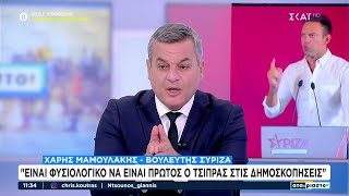 Χ. Μαμουλάκης:Στον ΣΥΡΙΖΑ είμαστε σε μεταβατικό στάδιο–Στη νέα εποχή είναι σημαντικό να είμαστε όλοι Ελληνική - SKAI.gr