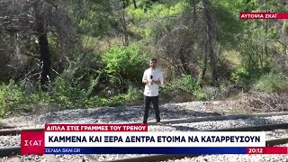 Αυτοψία ΣΚAΪ: Δίπλα στις γραμμές του τρένου καμμένα και ξερά δέντρα έτοιμα να καταρρεύσουν Ελληνική - SKAI.gr