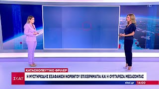 Κατασκοπευτικό θρίλερ: Η μυστηριώδης εξαφάνιση Νορβηγού επιχειρηματία και η Ουγγαρέζα μεσάζοντας Ελληνική - SKAI.gr