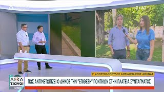 Ποντίκια έφτιαξαν φωλιές στην πλατεία Συντάγματος - Πως το αντιμετωπίζει ο δήμος | Οι Δεκατιανοί Ελληνική - SKAI.gr