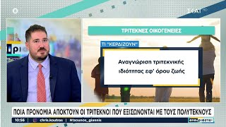 Ποια προνόμια αποκτούν οι τρίτεκνοι που εξισώνονται με τους πολύτεκνους | Αταίριαστοι | 27/09/2024 Ελληνική - SKAI.gr