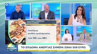 Ο διοικητής της ΔΥΠΑ για τις αλλαγές στο επίδομα ανεργίας & προγράμματα για 55.000 θέσεις εργασίας Ελληνική - SKAI.gr