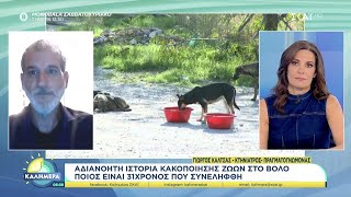 Αδιανόητη ιστορία κακοποίησης ζώων στο Βόλο - Ποιος είναι ο 31χρονος που συνελήφθη | 05/10/2024 Ελληνική - SKAI.gr