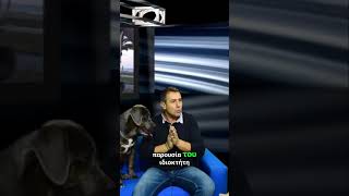 Cane Corso Κάνε Κόρσο και απρόκλητη επιθετικότητα σκύλου! #canecorso