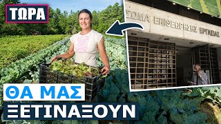 Τώρα και επιθεώρηση εργασίας στο χωράφι! Βαριά πρόστιμα στους αγρότες αν βρουν εργατικές παραβάσεις