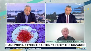 Η ανομβρία χτύπησε και τον «χρυσό» της Κοζάνης, τον κρόκο | Αταίριαστοι | 20/11/2024 Ελληνική - SKAI.gr