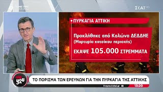 Το πόρισμα των ερευνών για την πυρκαγιά της Αττικής | Live You | 09/12/2024 Ελληνική - SKAI.gr