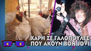 Χάρη σε γαλοπούλες που ακούν Bon Jovi | Οι Boomers (17/12/2024)