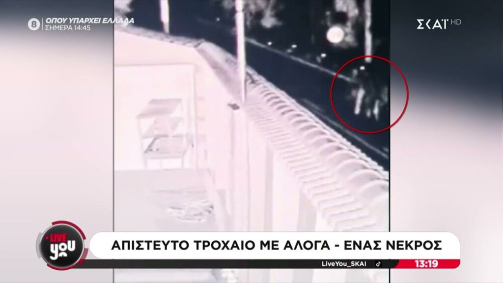 Βίντεο ντοκουμέντο από το απίστευτο τροχαίο με άλογα στη Μυτιλήνη – Τι λέει ο Περιφερειάρχης Ελληνική - SKAI.gr