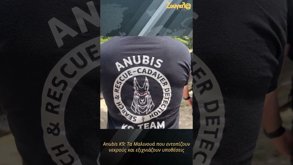 Anubis K9: Τα Μαλινουά που εντοπίζουν νεκρούς και εξιχνιάζουν υποθέσεις