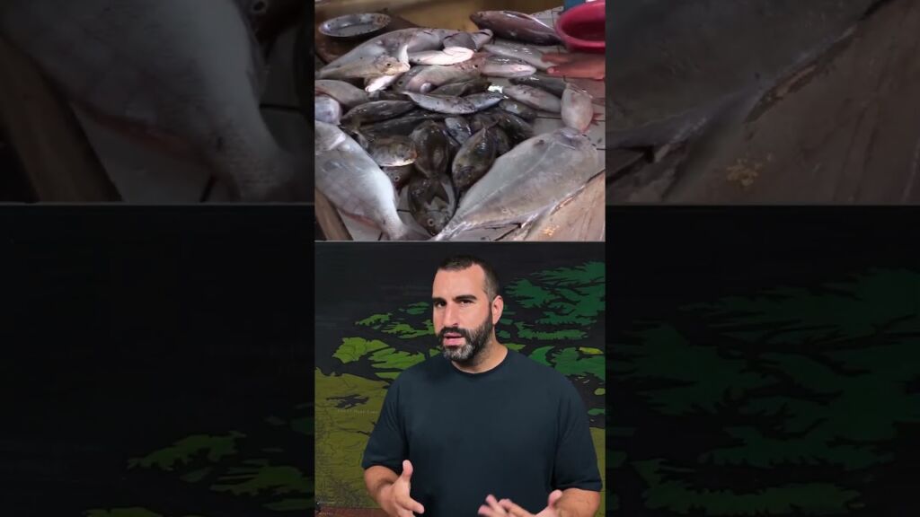 Ορισμένες αγορές κρεάτων ειναι αδιανόητες 🤢